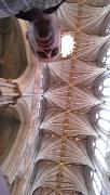 IMG_20130623_091901_1.jpg