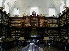 p1010047_cool_library.jpg