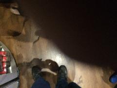 IMG_2578.JPG