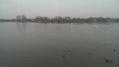 IMG_20131116_112330.jpg