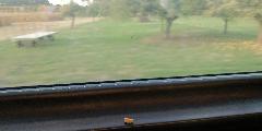 IMG_20181006_175436.jpg