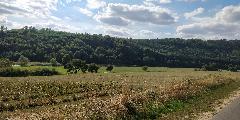 IMG_20180826_160352.jpg