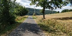 IMG_20180826_160345.jpg
