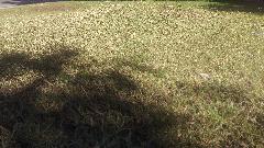 IMAG0098.jpg