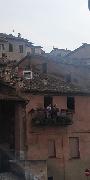 IMG_20200922_101355.jpg