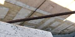 IMG_20200802_150602.jpg