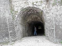 p5020155.jpg