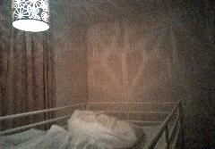 IMAG1215_dng_shotwell.jpg
