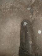 pict0027.jpg