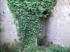 pict0020.jpg