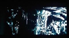 IMAG0063.jpg