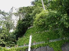 p5020131.jpg