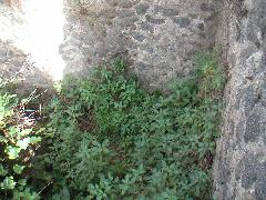 pict0018.jpg