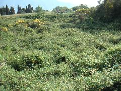 pict0017.jpg