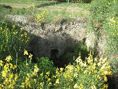 pict0016.jpg