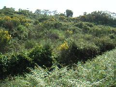 pict0013.jpg