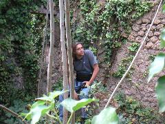 pict0006.jpg