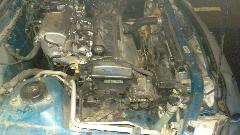 IMAG0042.jpg