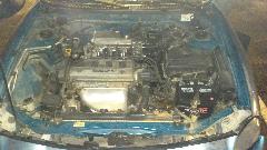 IMAG0039.jpg