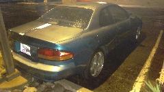 IMAG0036.jpg