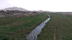 IMAG0008.jpg