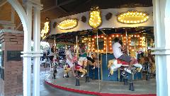 IMG_20130524_192006_1.jpg