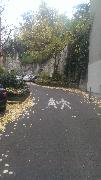 IMG_20131116_102258.jpg