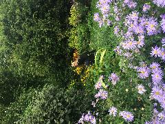 IMG_2469.JPG