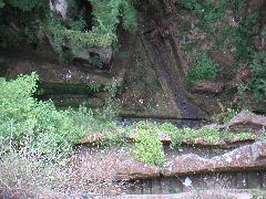 pict0016.jpg
