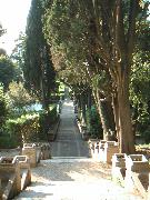 pict0047.jpg