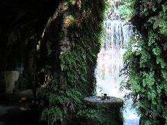 pict0041.jpg