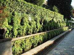 pict0038.jpg