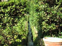 pict0030.jpg