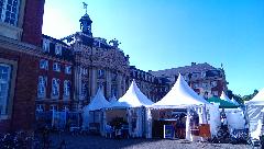 IMG_20130706_180151.jpg