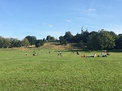 IMG_2423.JPG