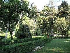 pict0007.jpg
