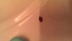 IMG_20130714_202555.jpg