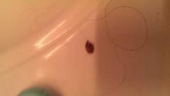 IMG_20130714_202553.jpg