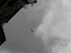 SDC10582.JPG