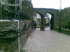 20090203(001).jpg