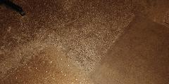 IMG_20190922_192317.jpg