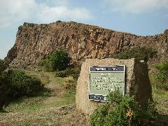 IMG_20130826_155025.jpg