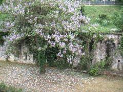 pict0033.jpg