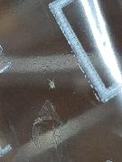 IMG_20200802_230731.jpg