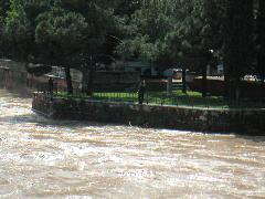 pict0028.jpg