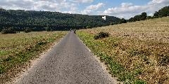 IMG_20180826_160401.jpg