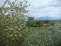 pict0006.jpg