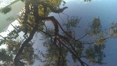 IMG_20150319_180423.jpg