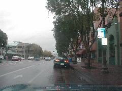 P1010058.JPG