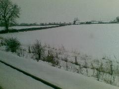 20090205(002).jpg
